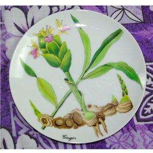 VINTAGE HORCHOW JAPANESE BOTANICAL HERB GINGER SALAD/DESSERT PLATE. 7.75”. EUC.